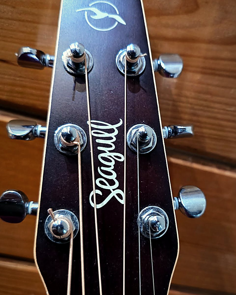 Seagull headstock
