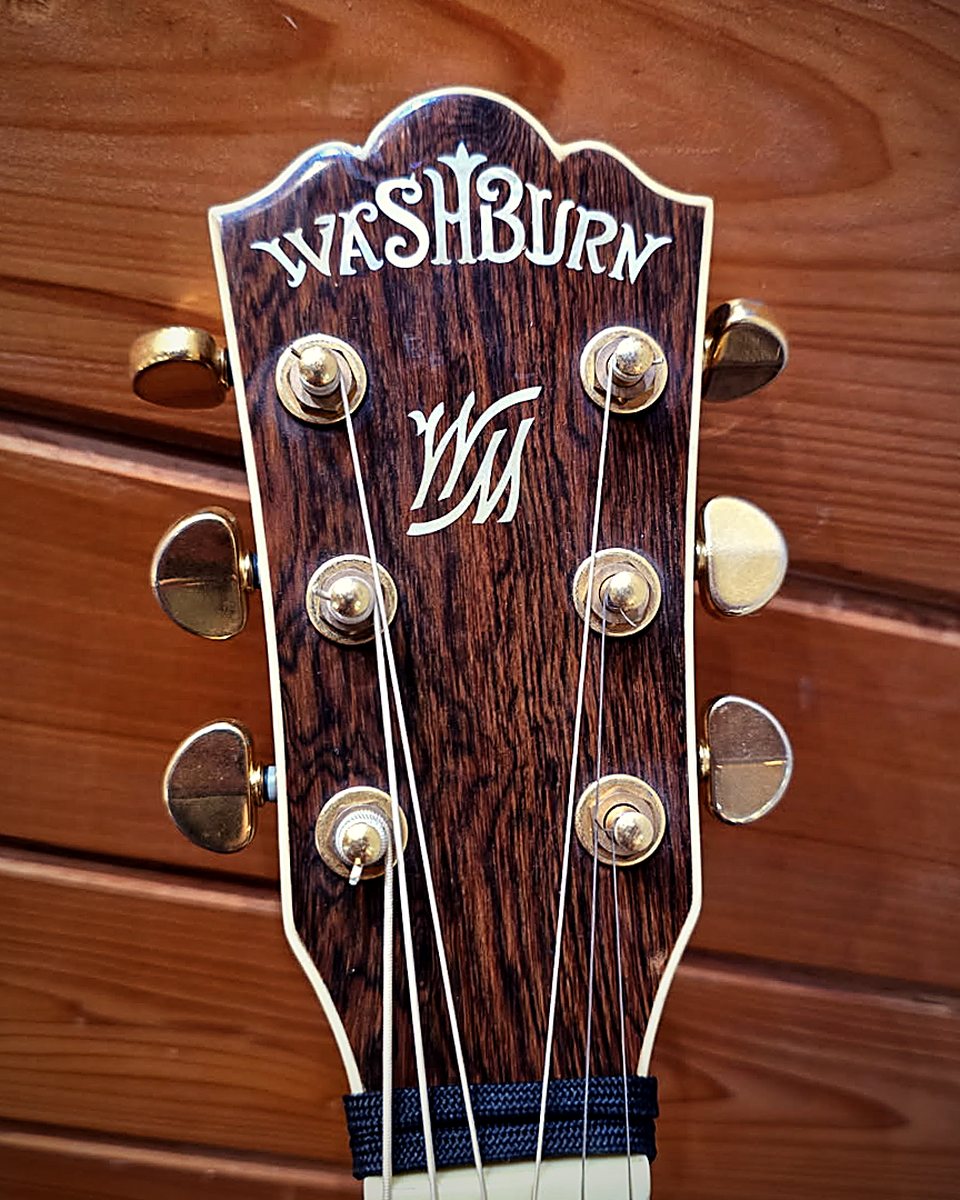 Washburn headstock with gold tuners